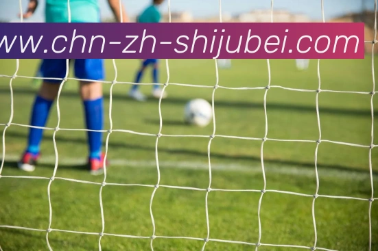 世界杯买球平台生态图