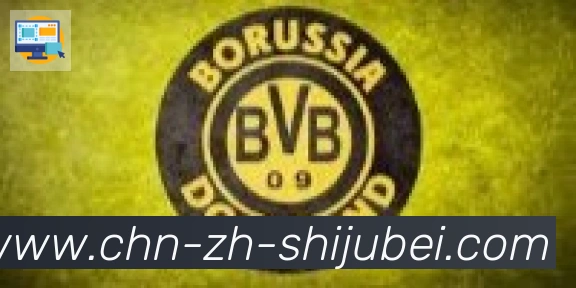世界杯买球合作伙伴