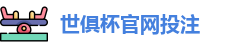 2025世界俱乐部杯